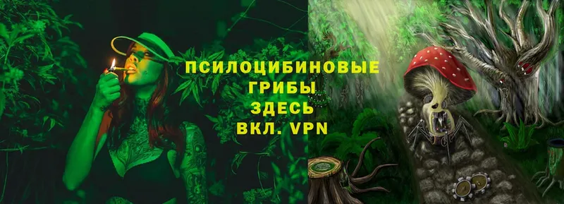 дарк нет клад  Лагань  Псилоцибиновые грибы Psilocybe  цена  